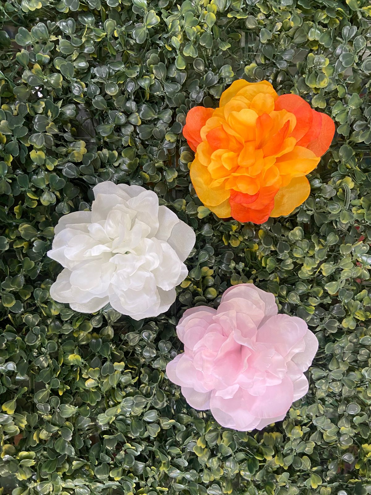 MEXICAN FIESTA FLOWER